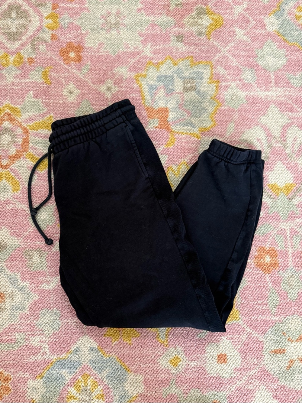Aritzia TNA Cozy AF Fleece Sweatpants